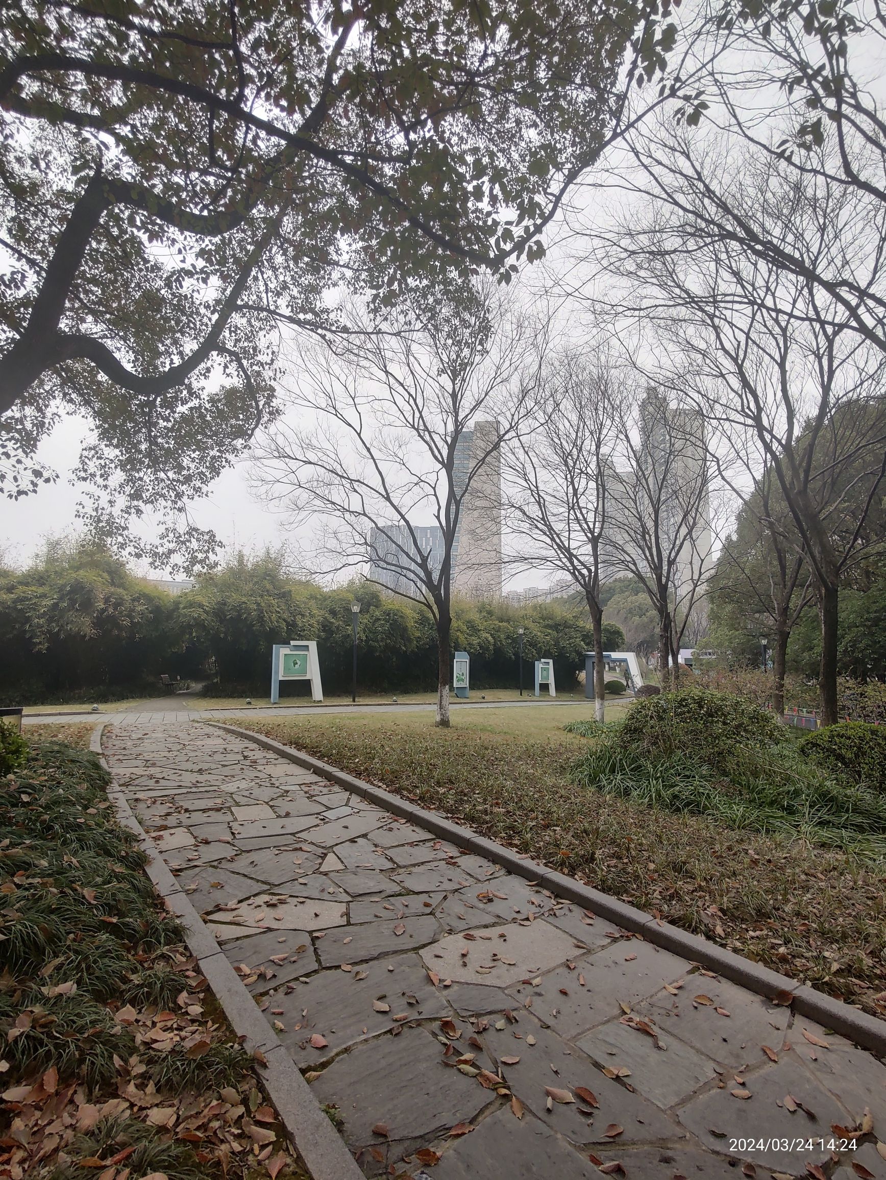 莘城中央公园