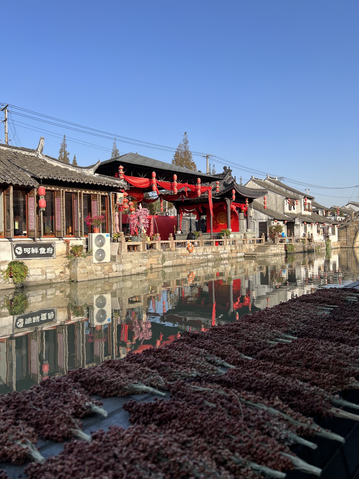 枫泾古镇旅行图片