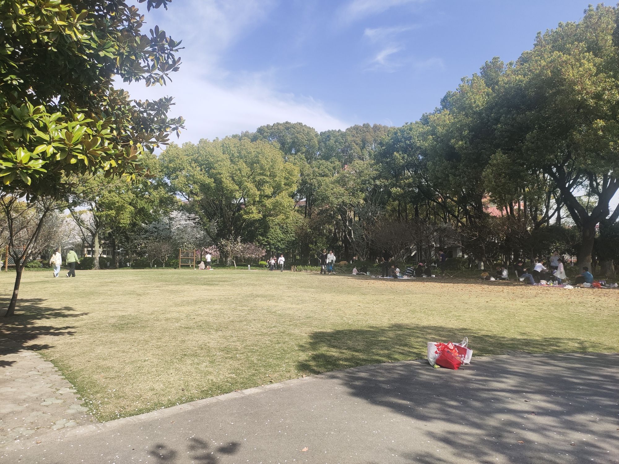 闵行公园旅行图片