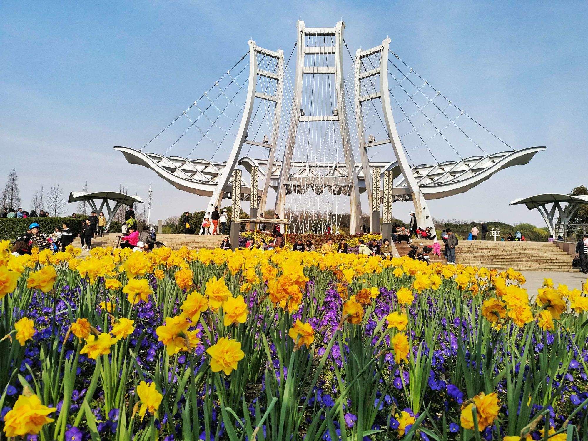 闵行公园旅行图片