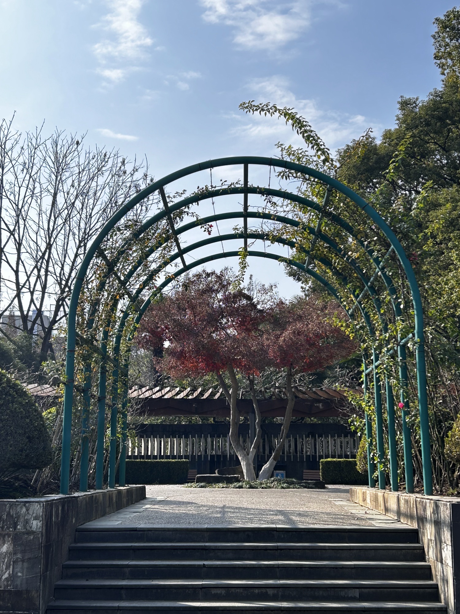 闵行公园旅行图片