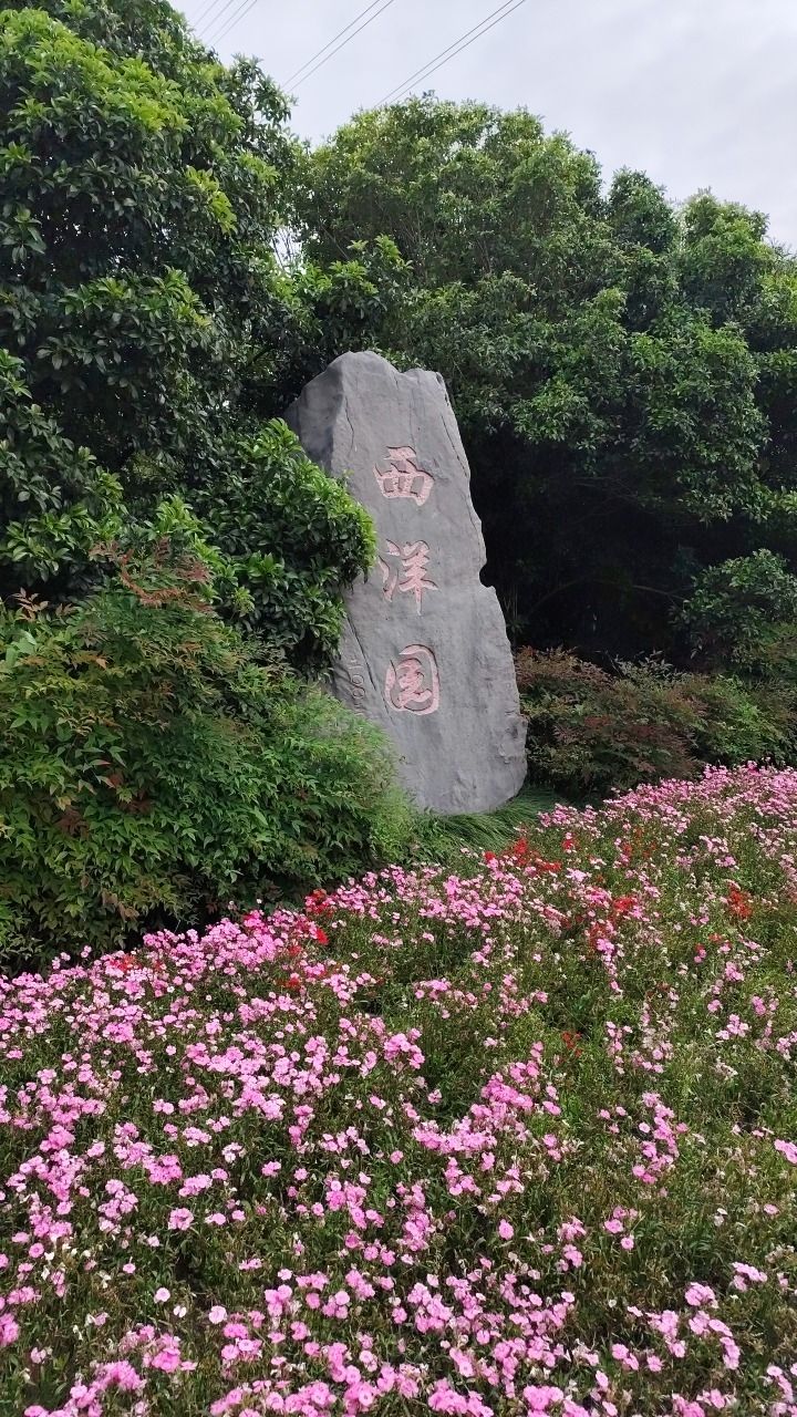 闵行开发区生态公园西洋园·企业园旅行图片