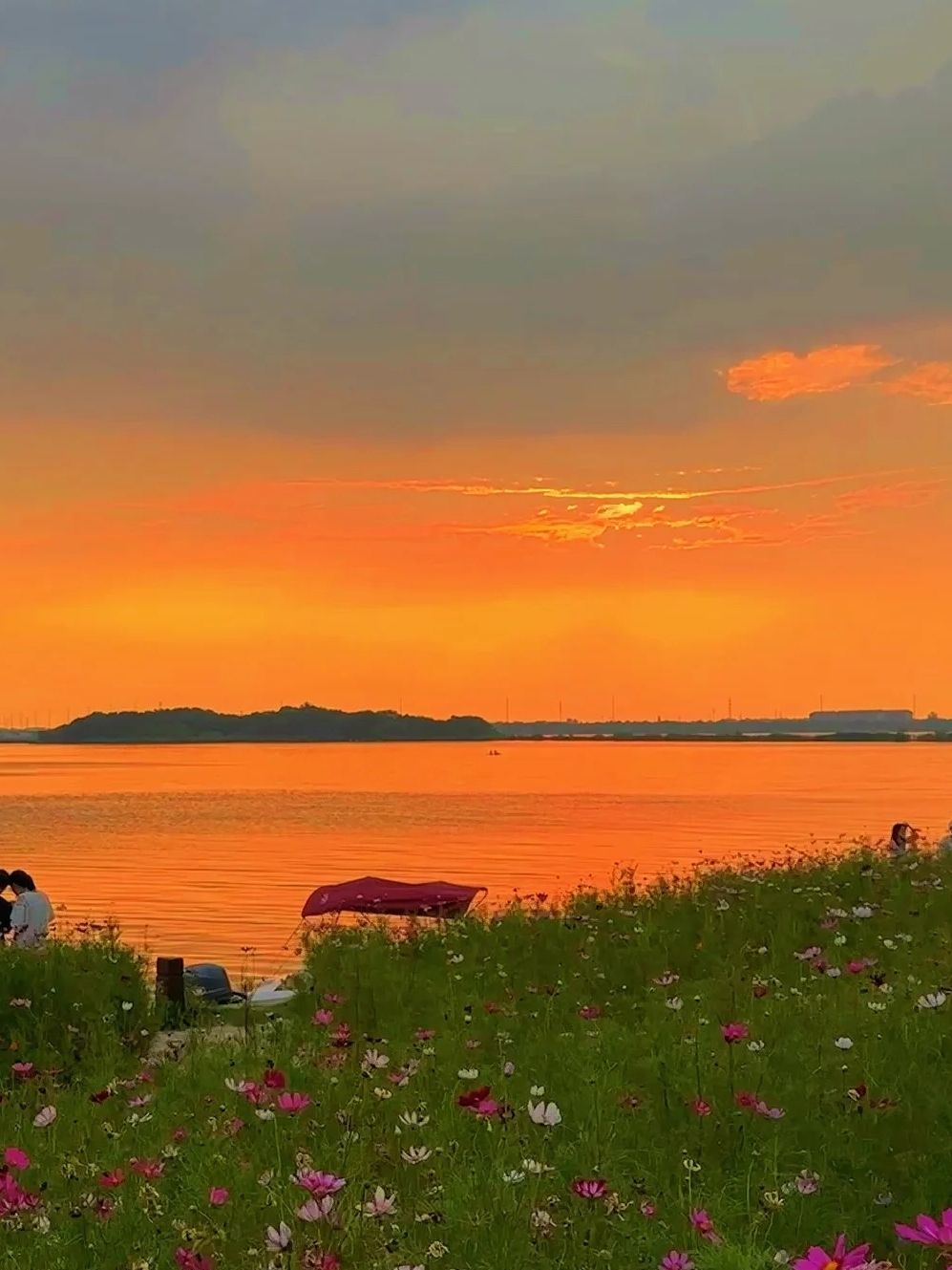 淀山湖风景区