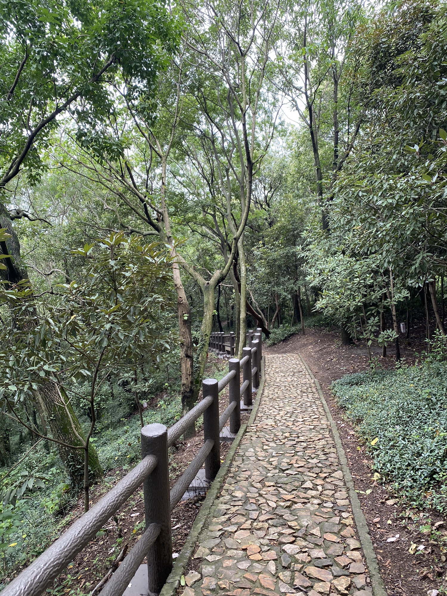 上海佘山国家森林公园-天马山园