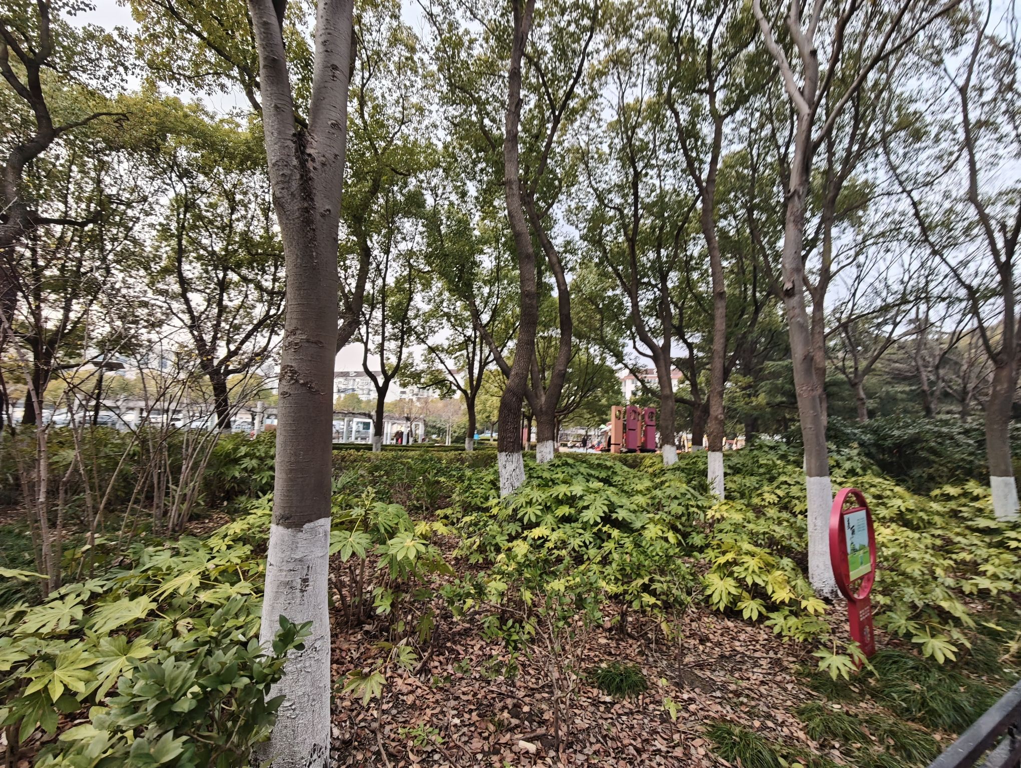 南苑公园