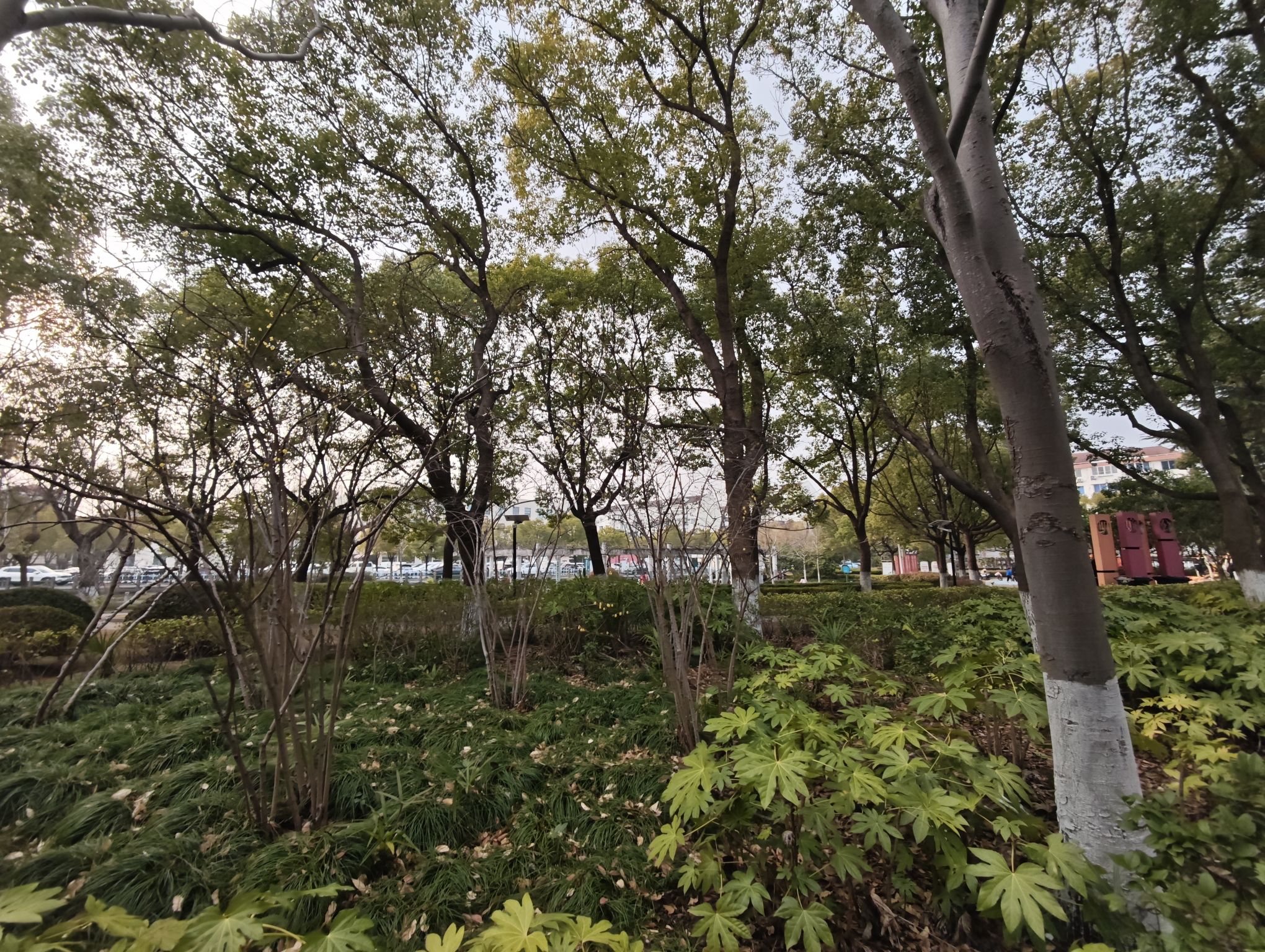南苑公园旅行图片