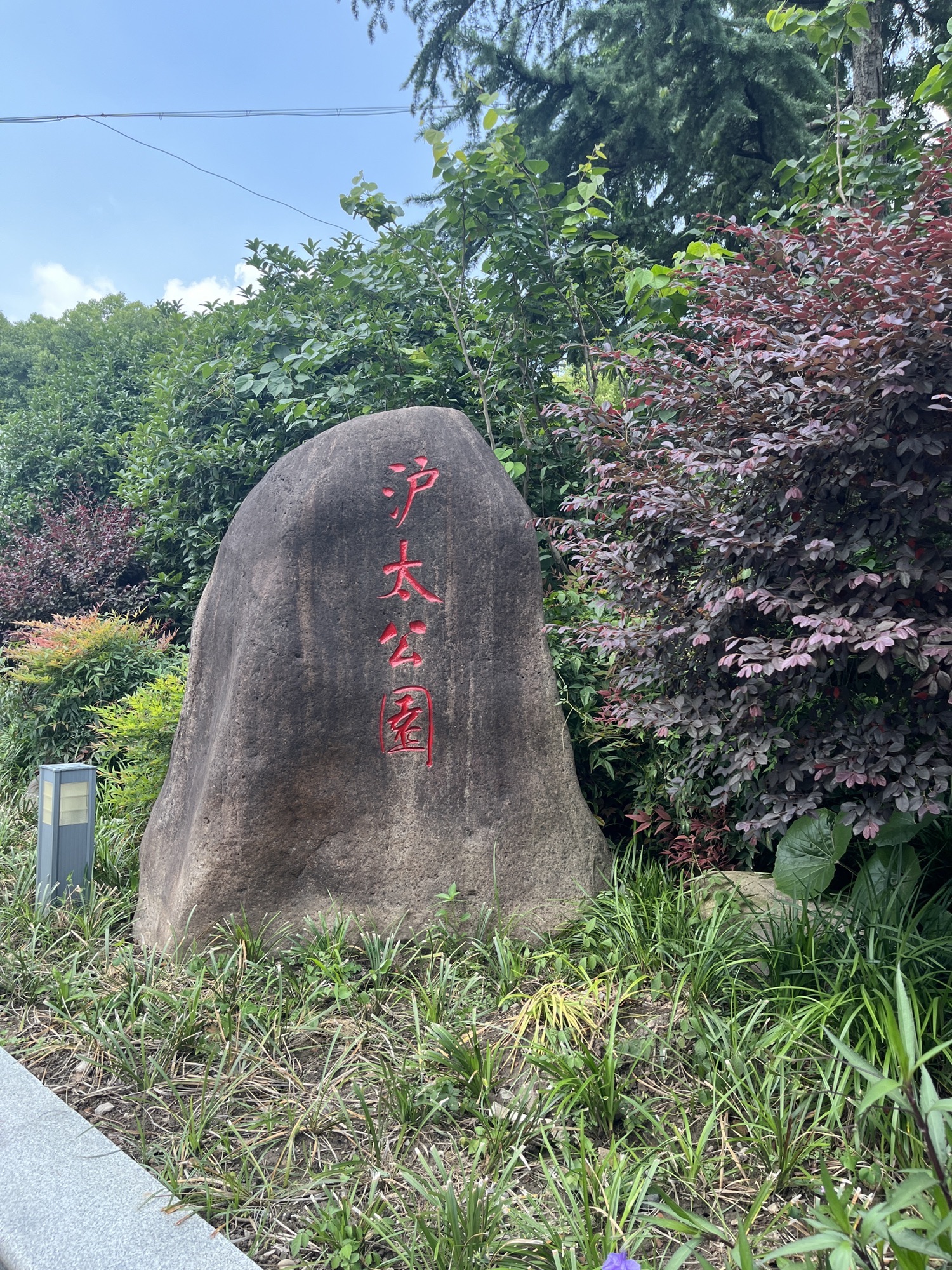 沪太公园旅行图片