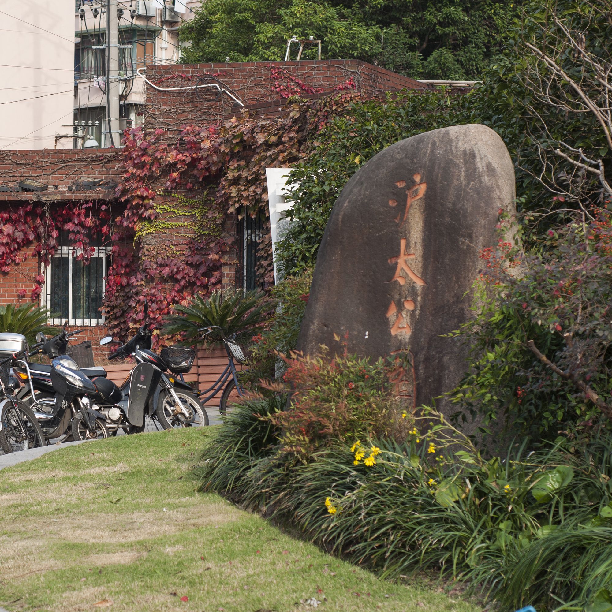 沪太公园旅行图片