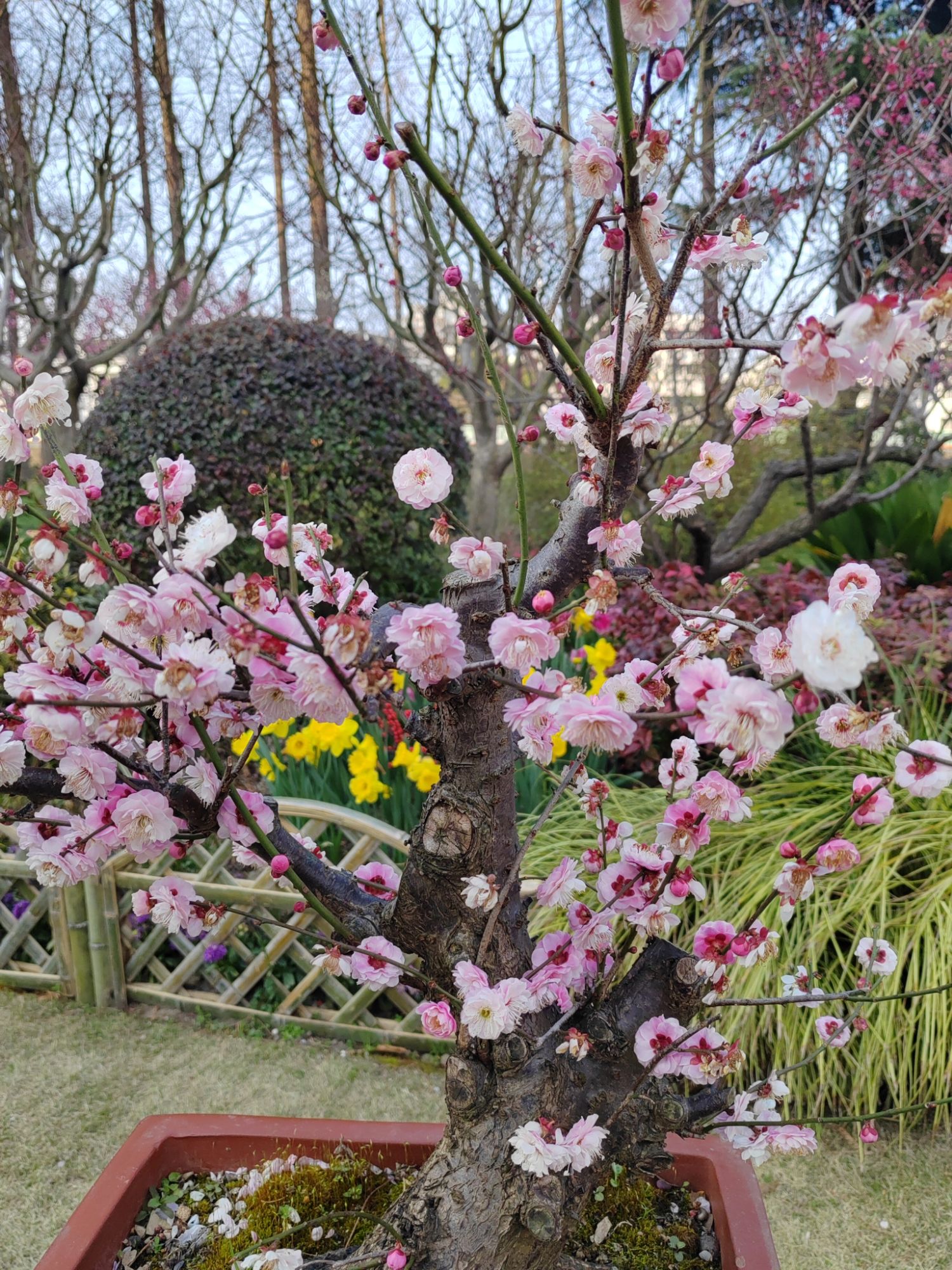 梅川公园