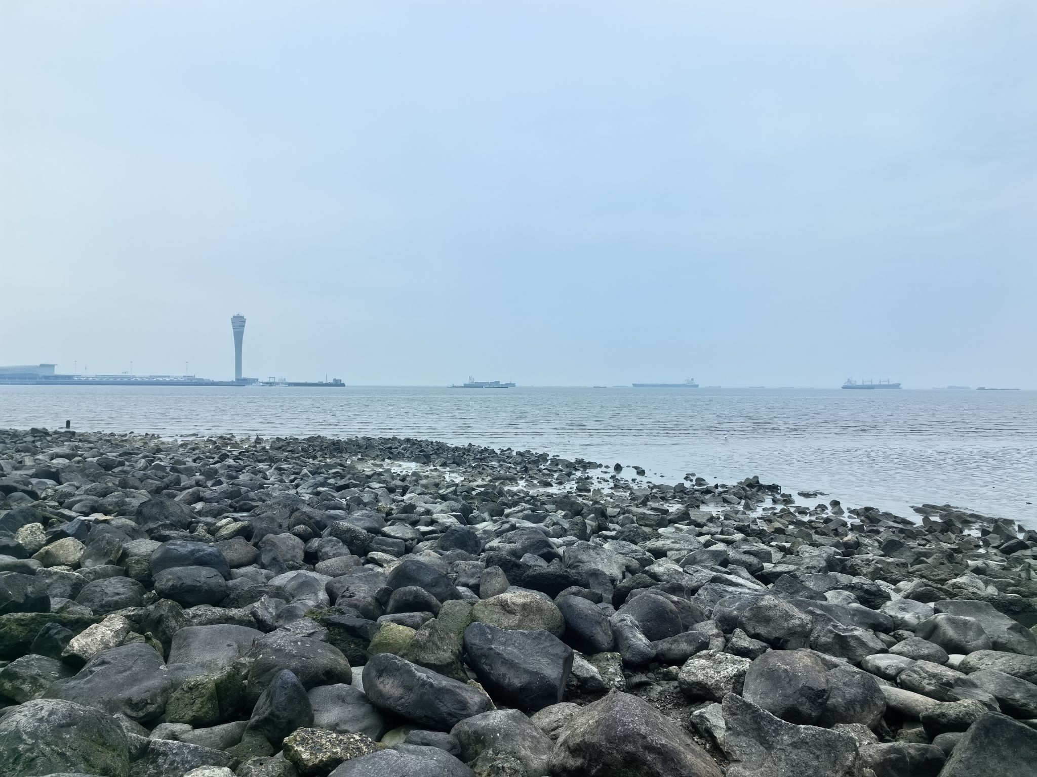 上海吴淞炮台湾国家湿地公园