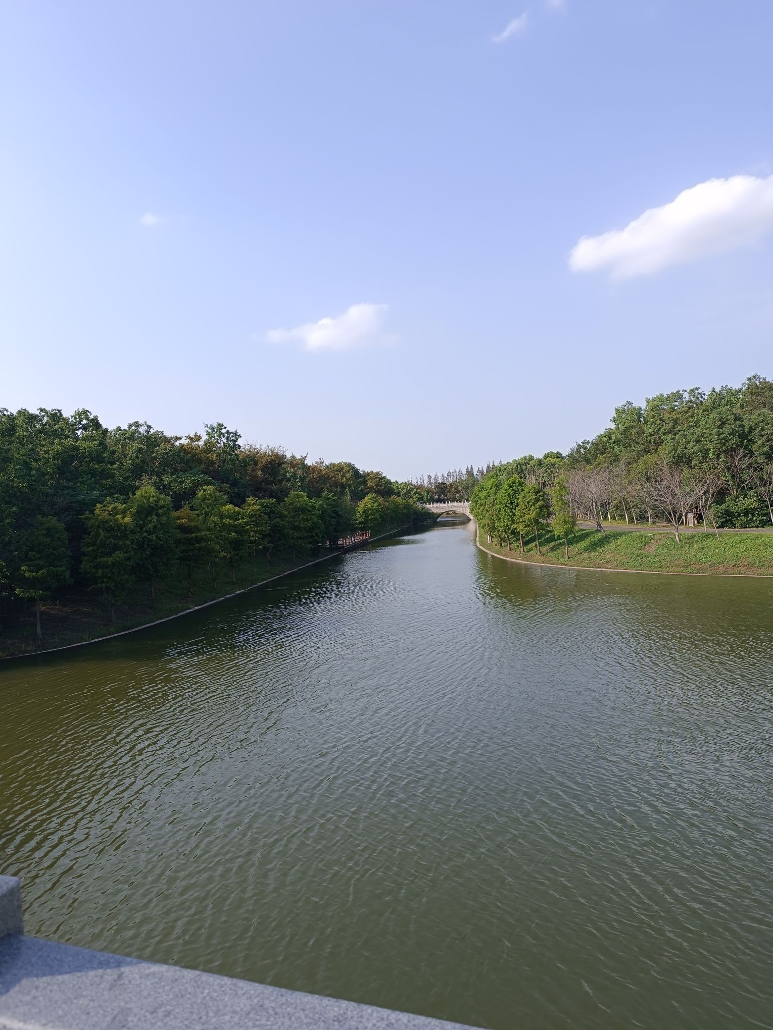 上海海湾国家森林公园