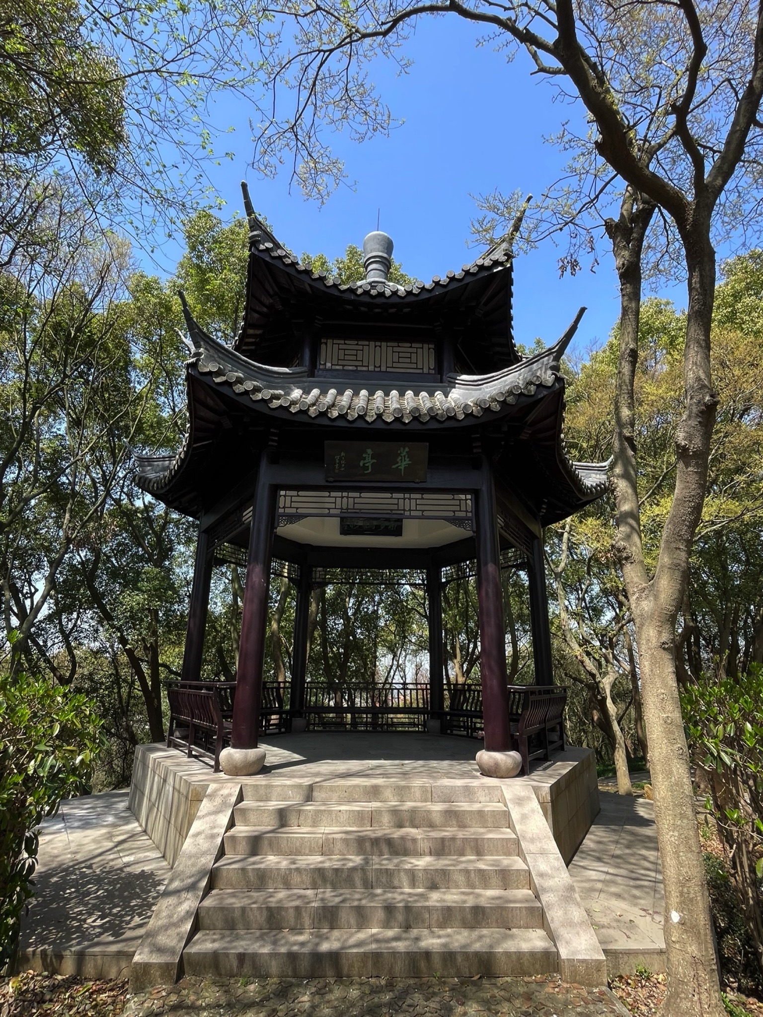 上海佘山国家森林公园-小昆山园旅行图片