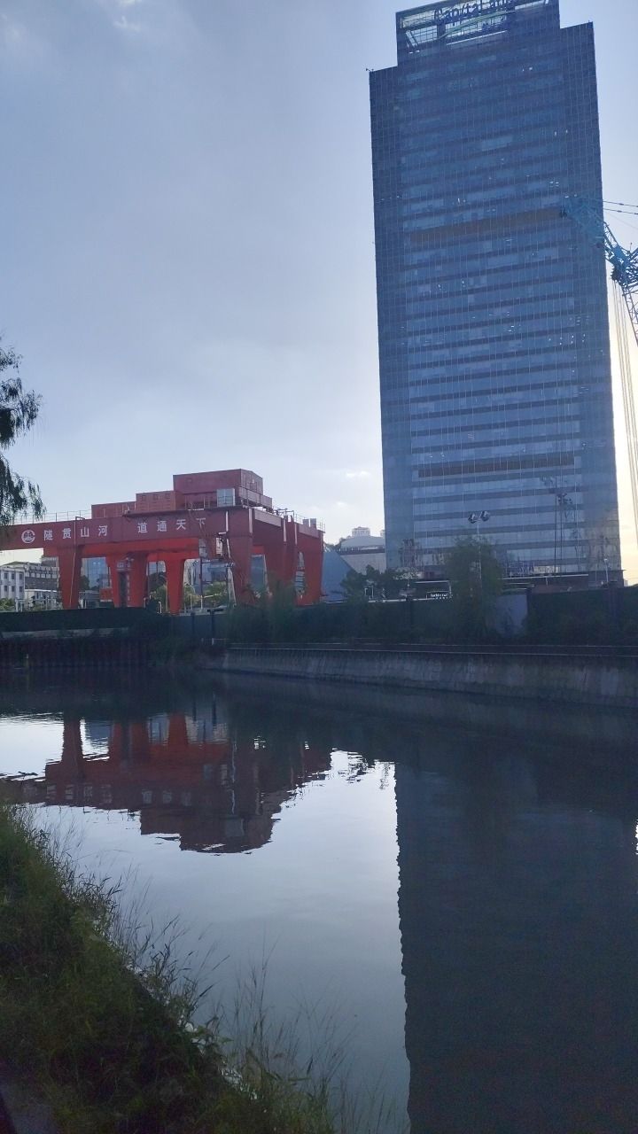 G60高速防护林口袋公园