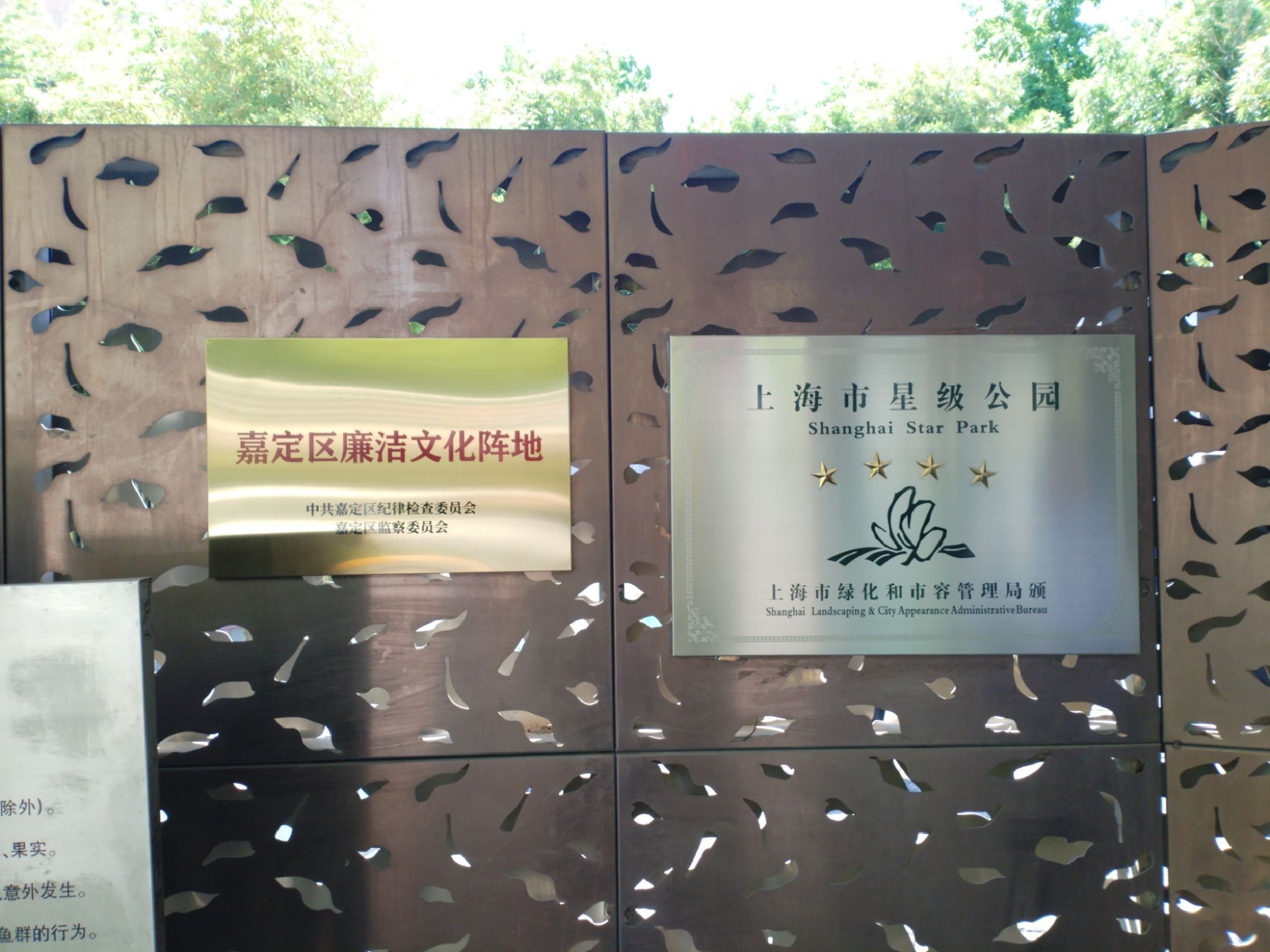 陈家山荷花公园