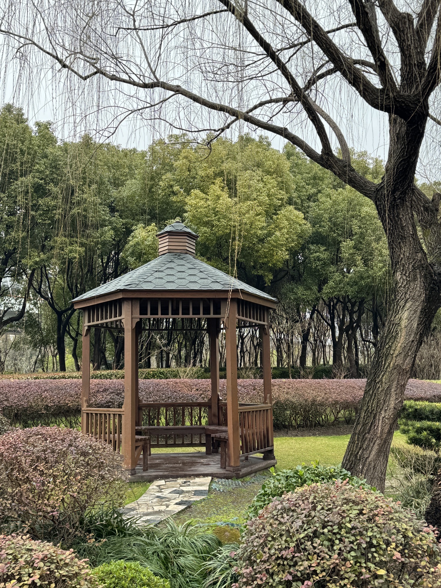 碧云体育公园旅行图片