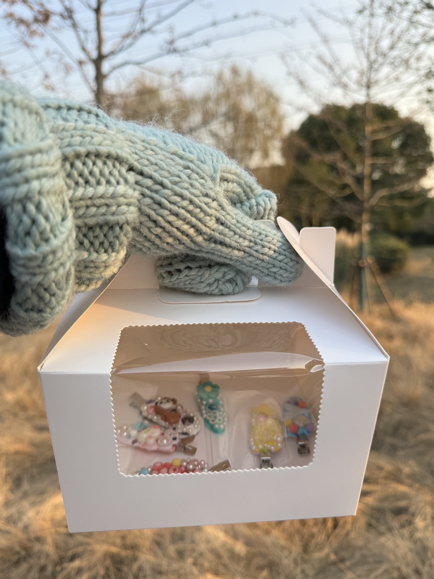 碧云体育公园旅行图片