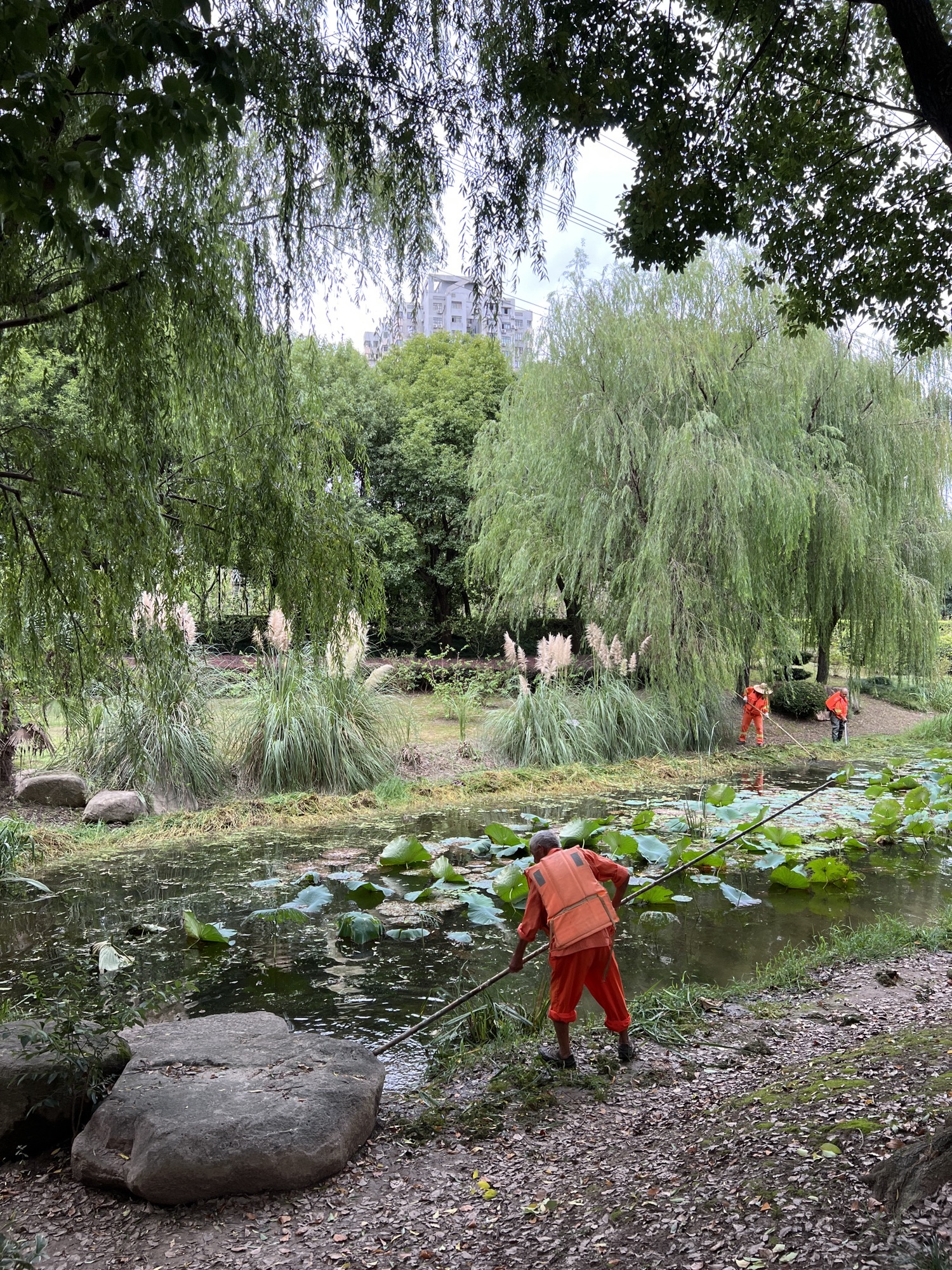 碧云体育公园旅行图片
