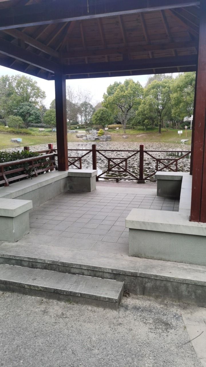 陈行公园旅行图片