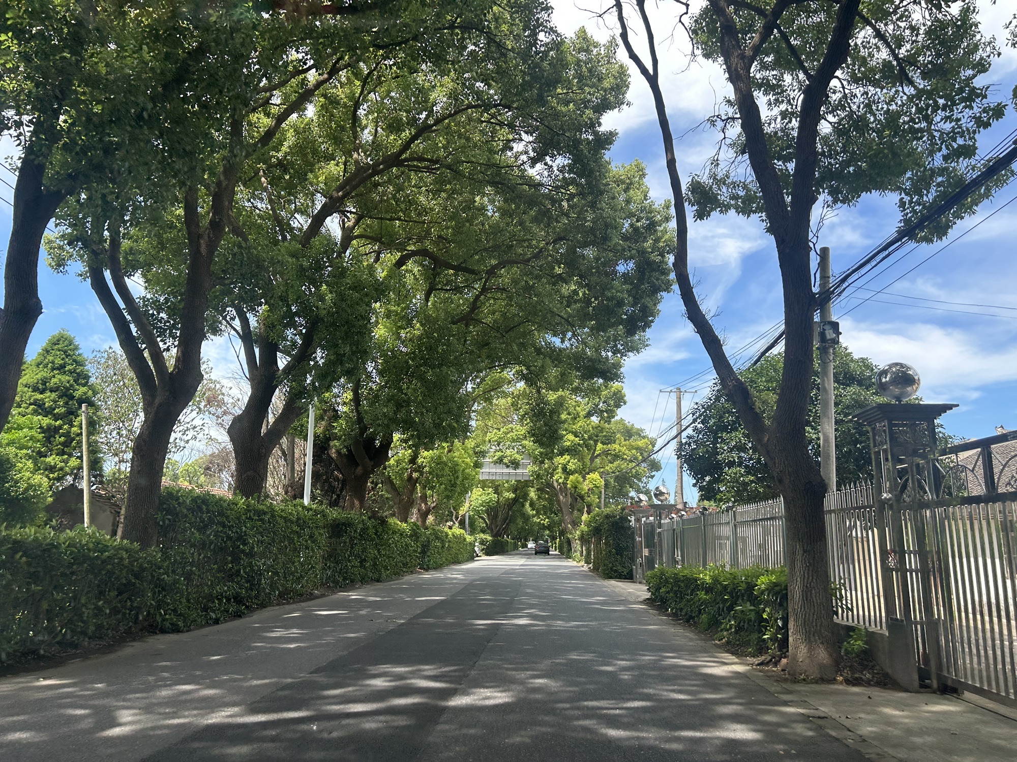 南门景观大堤旅行图片