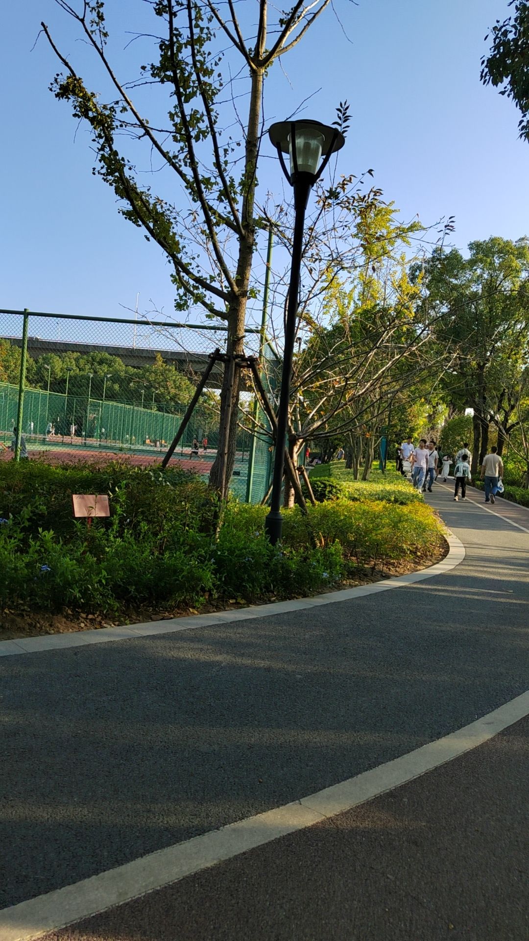 张衡公园旅行图片