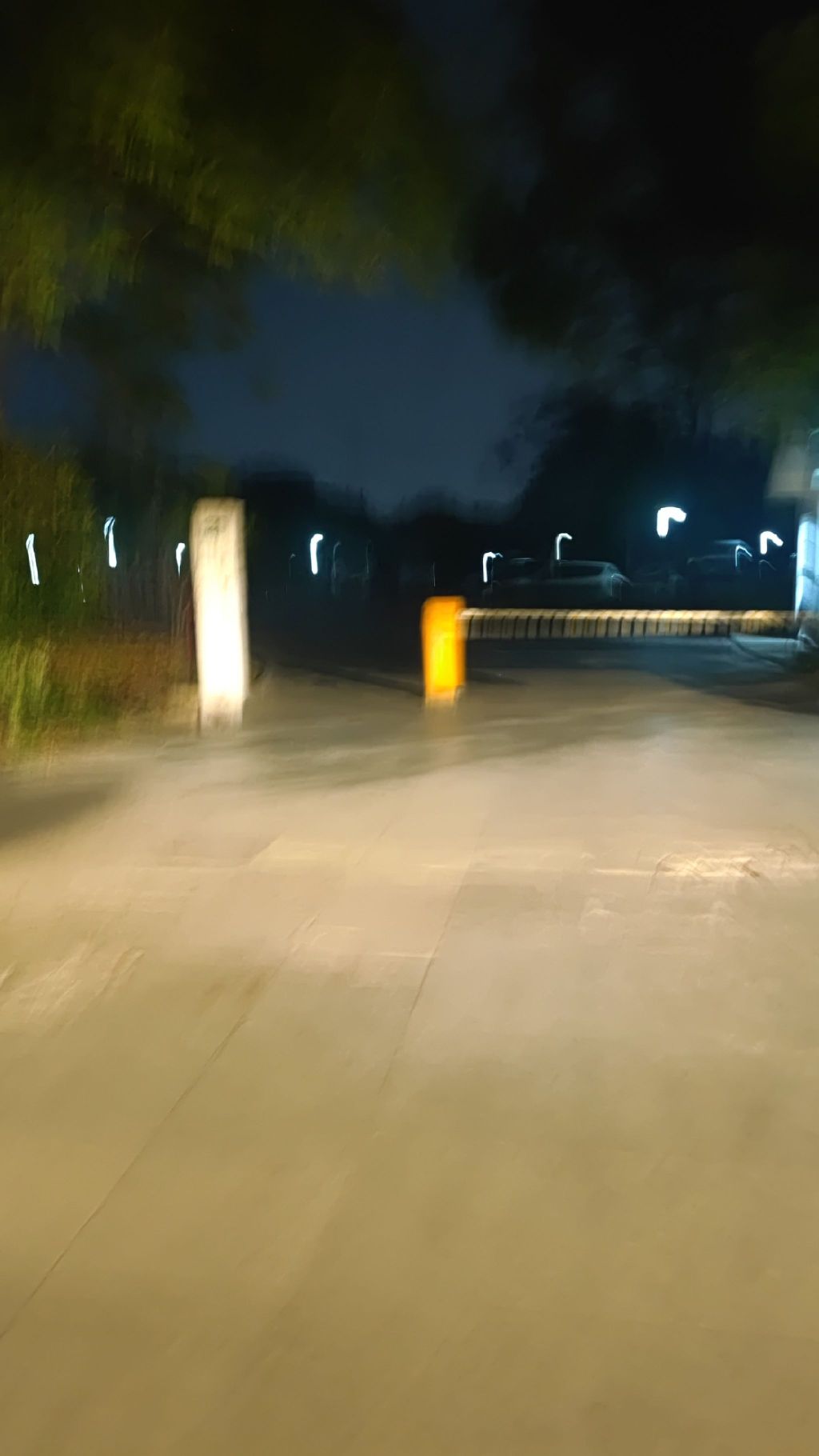 颐景园旅行图片