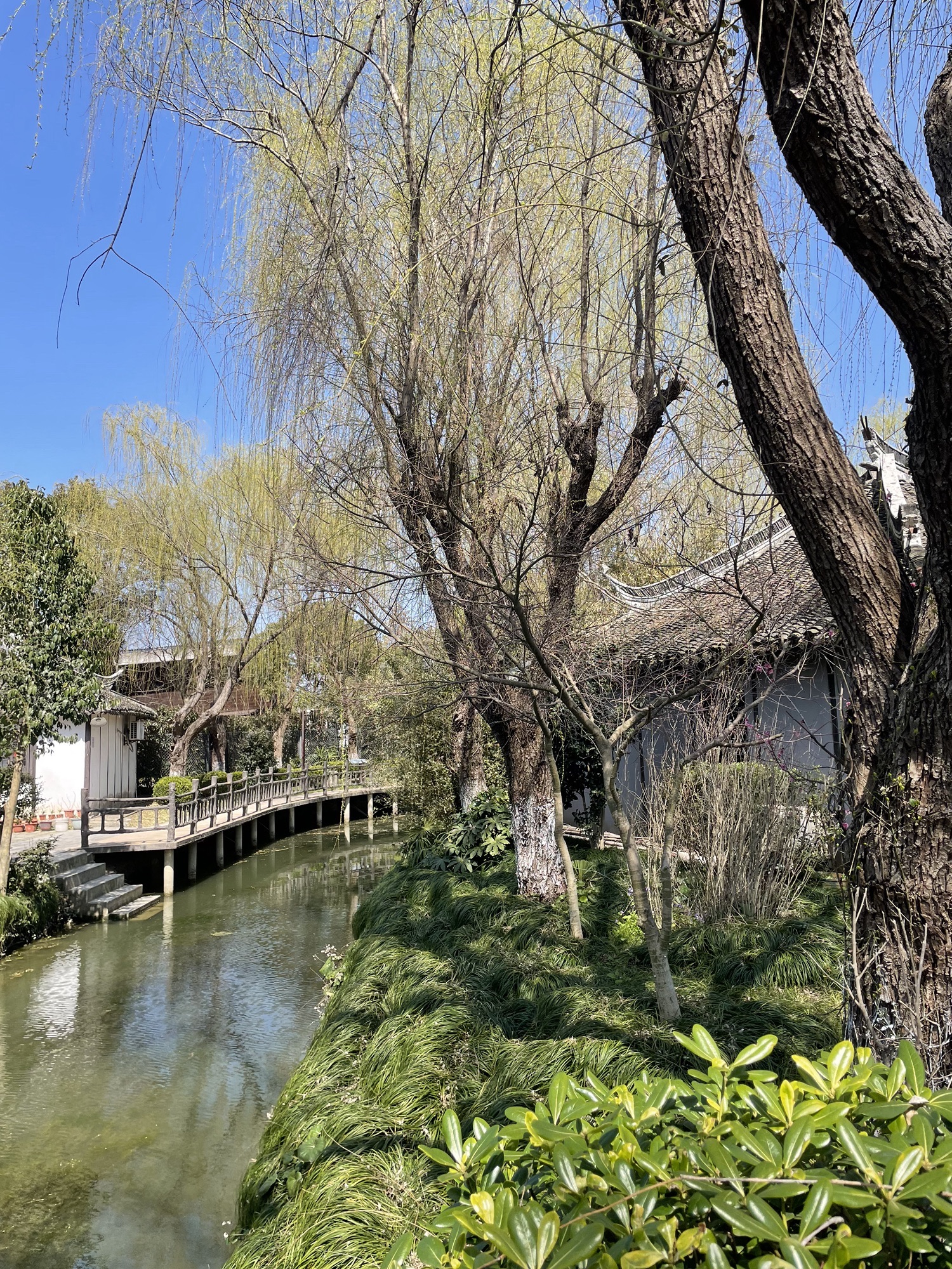 中国农民画村旅行图片