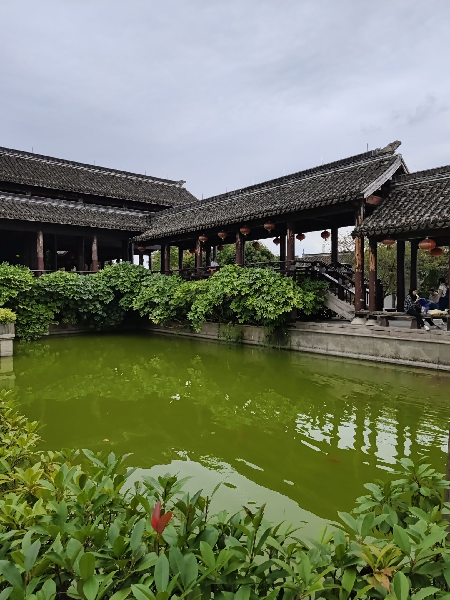 廊下生态园旅行图片