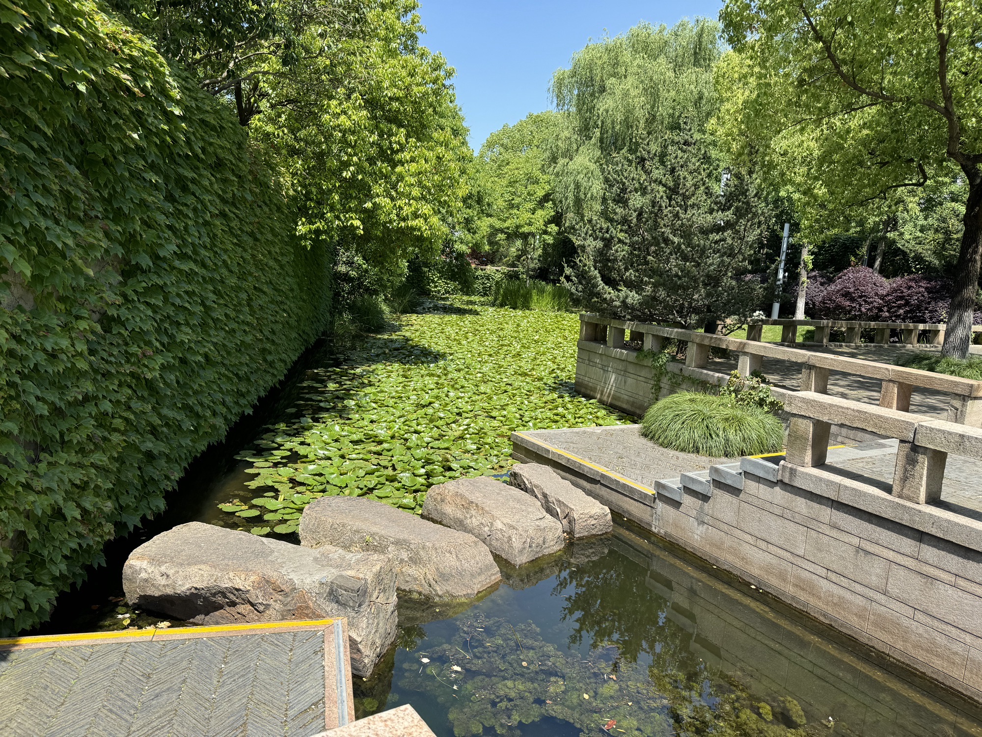 北箐园旅行图片