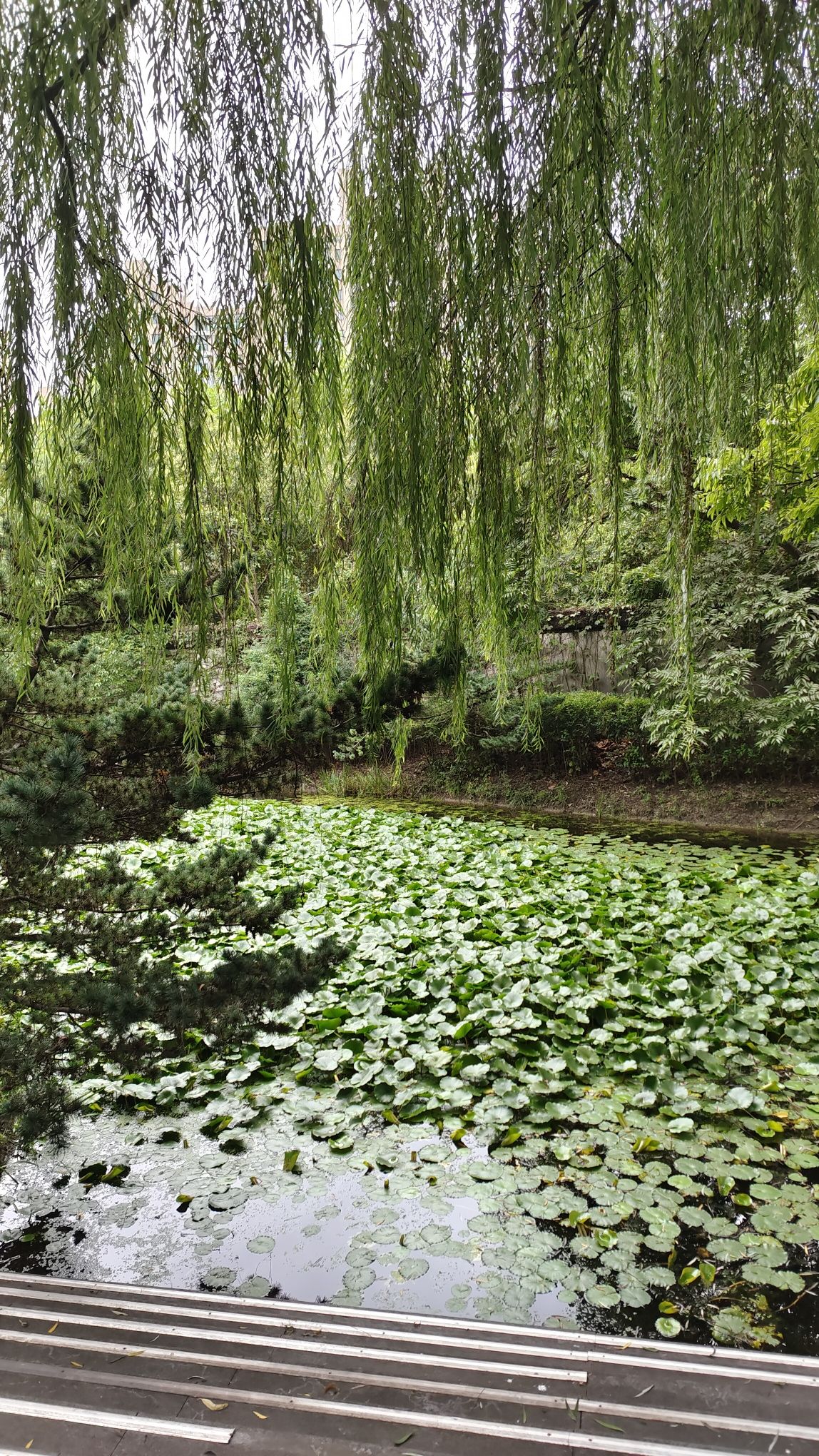 北箐园旅行图片