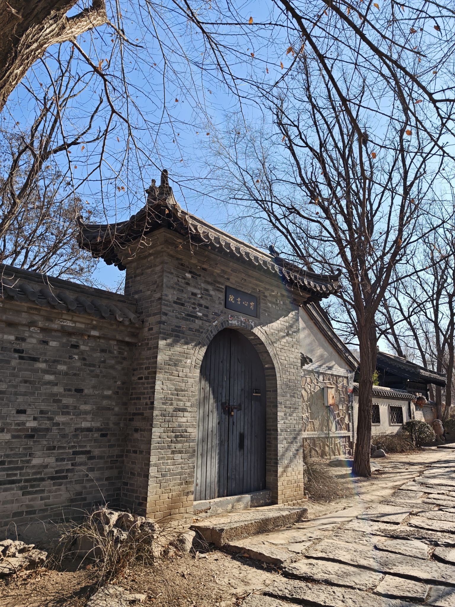西沽公园旅行图片