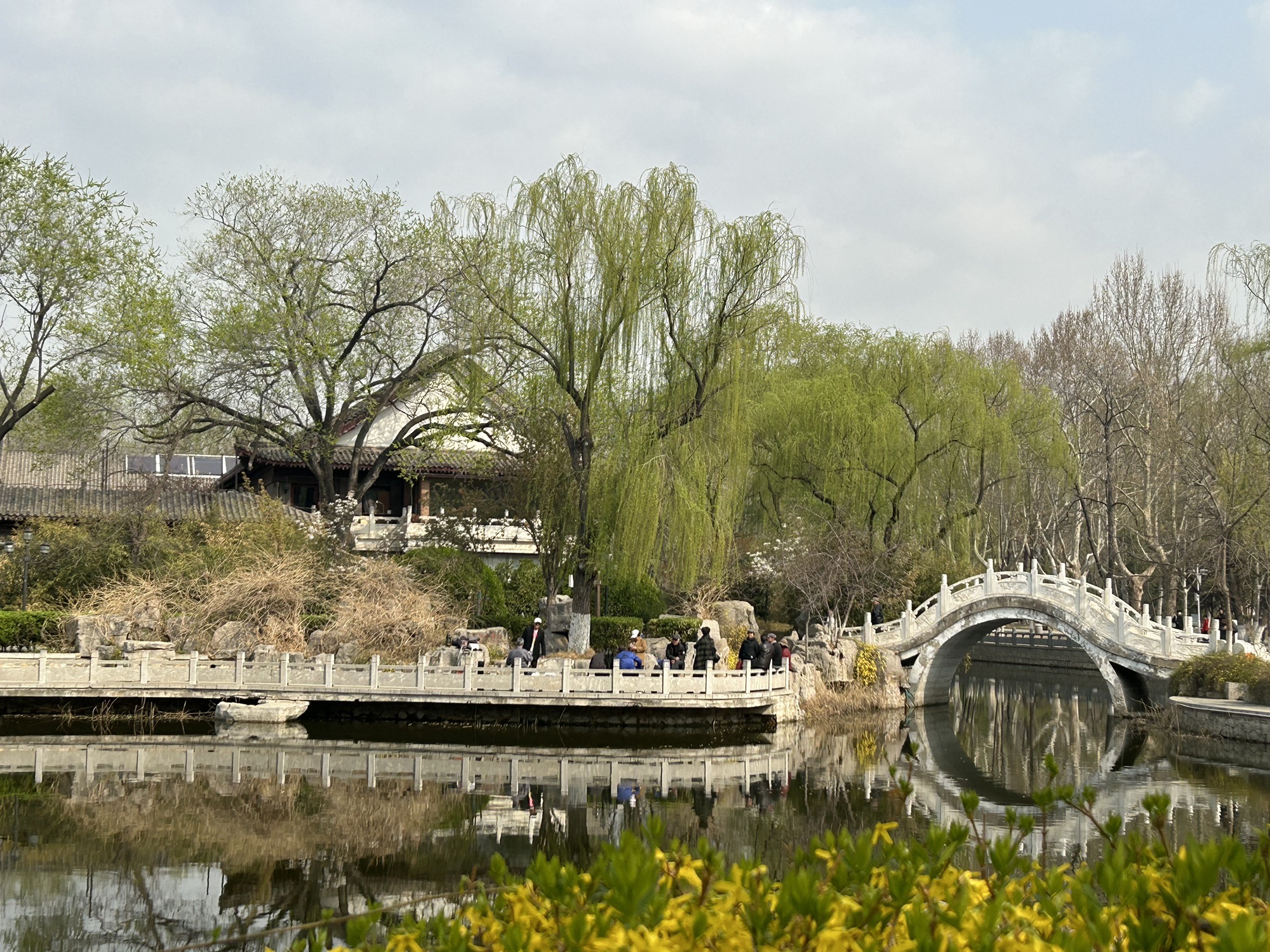 西沽公园旅行图片