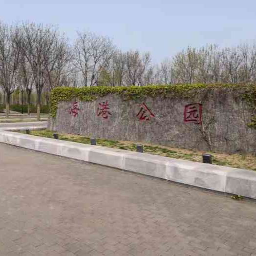 大港公园旅行图片
