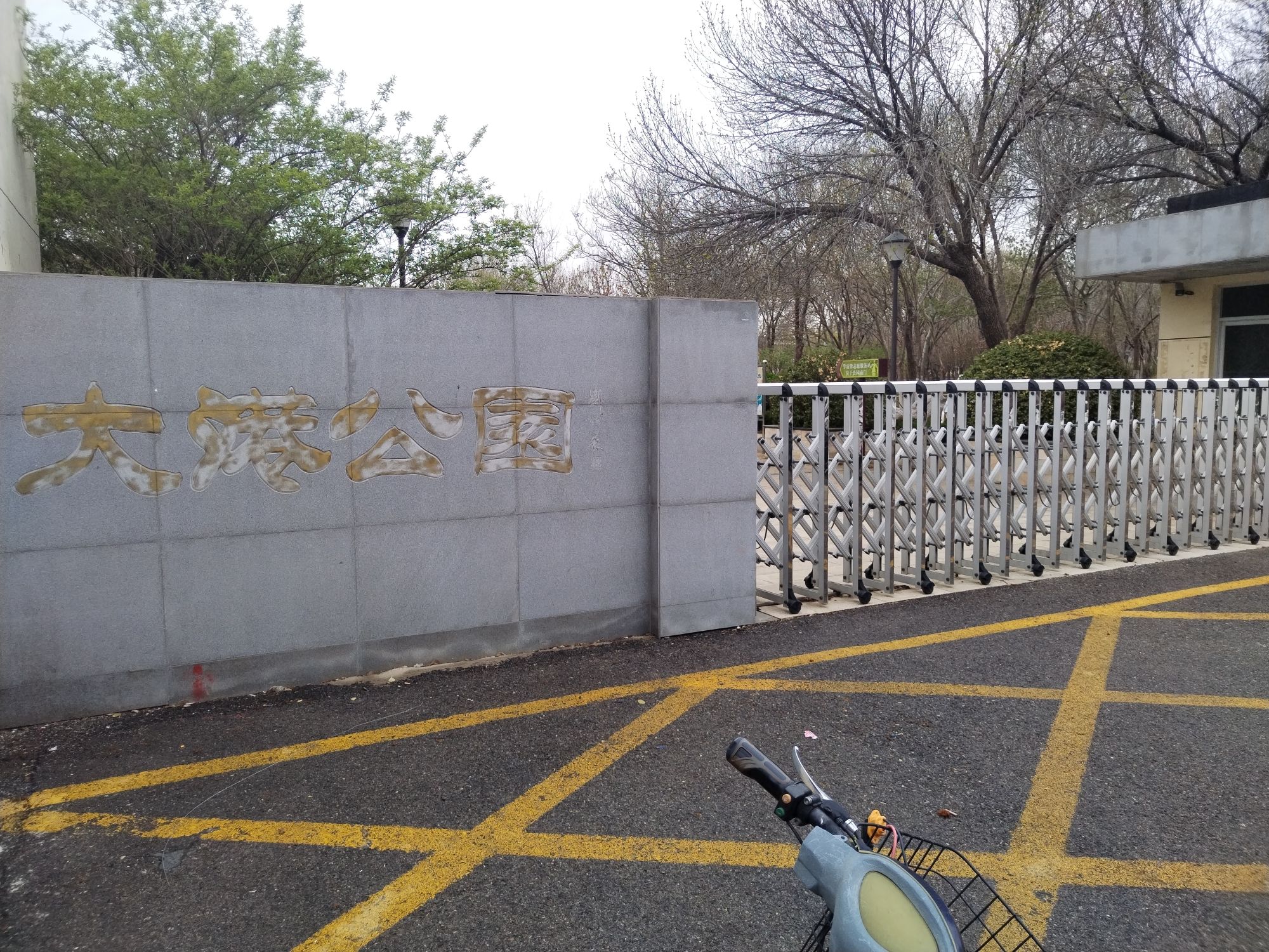 大港公园旅行图片