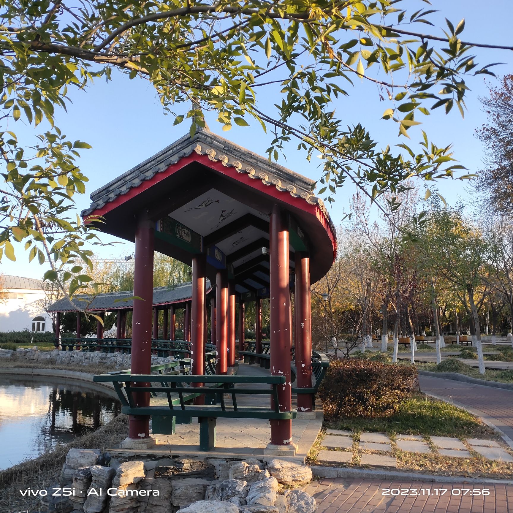 大港公园旅行图片