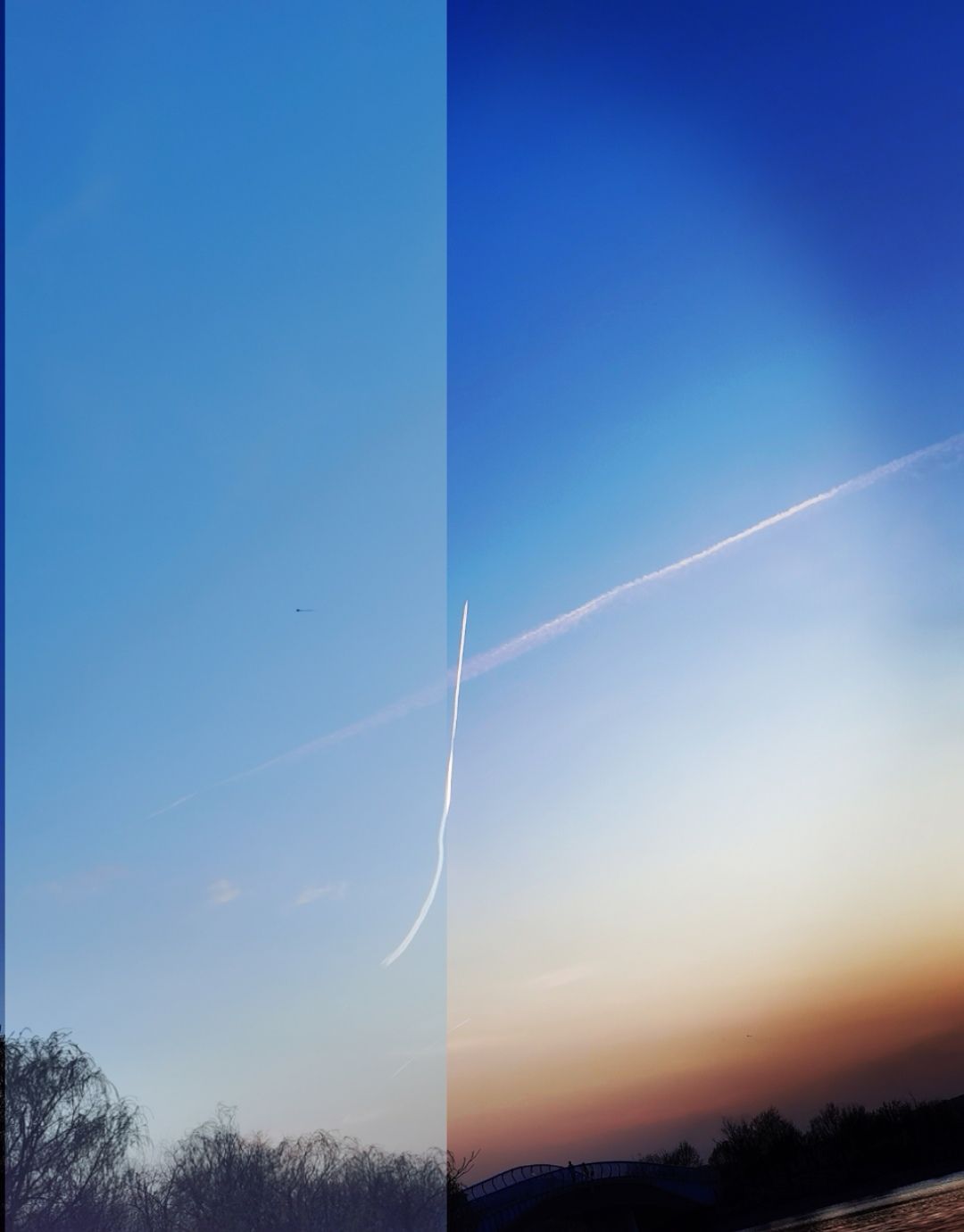 西苑公园旅行图片