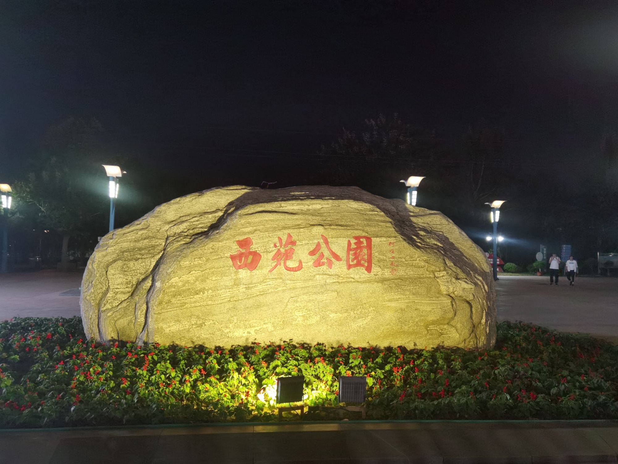 西苑公园旅行图片