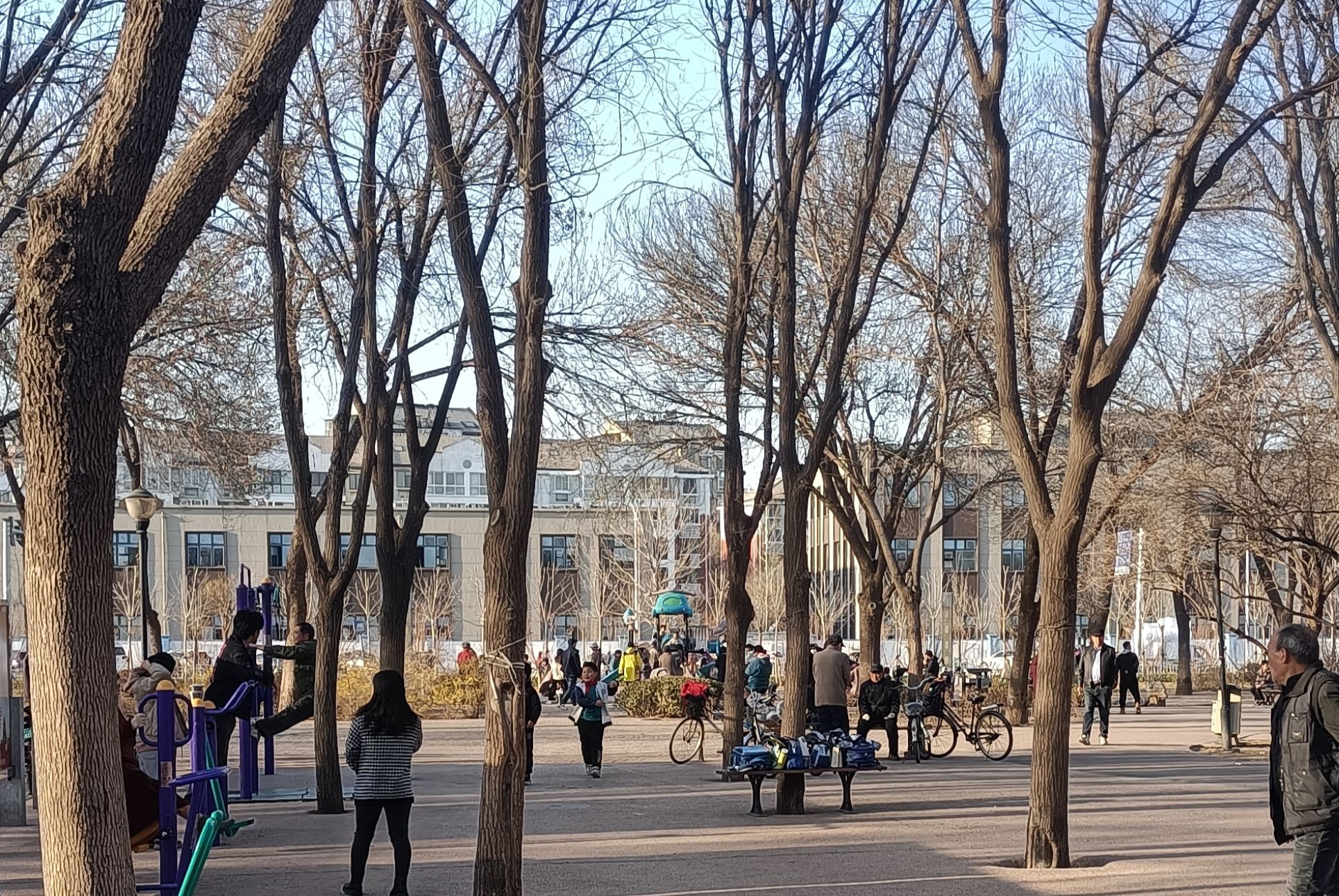 珠江公园旅行图片