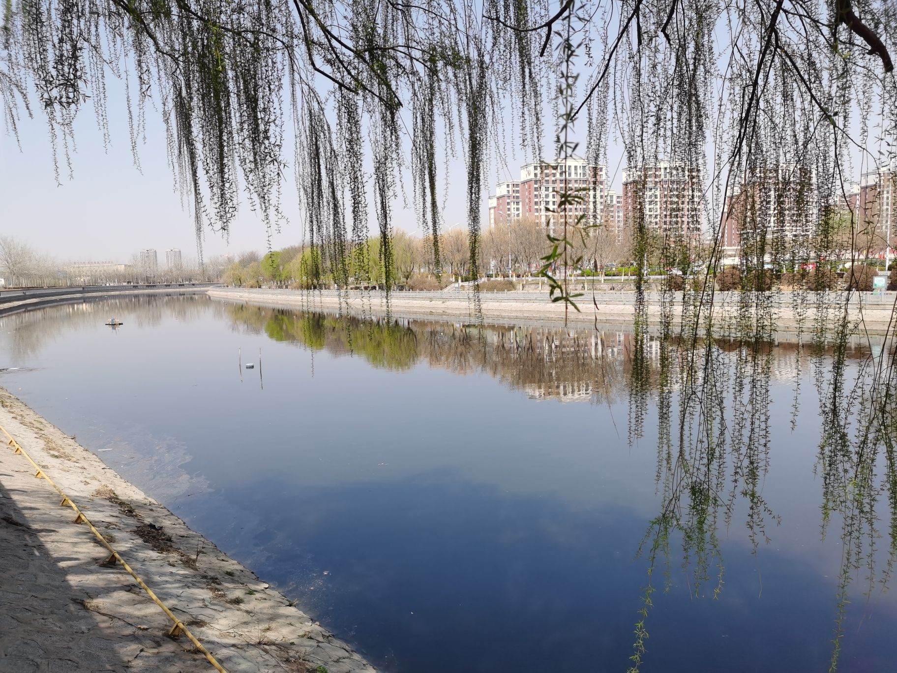 双龙滨河公园旅行图片