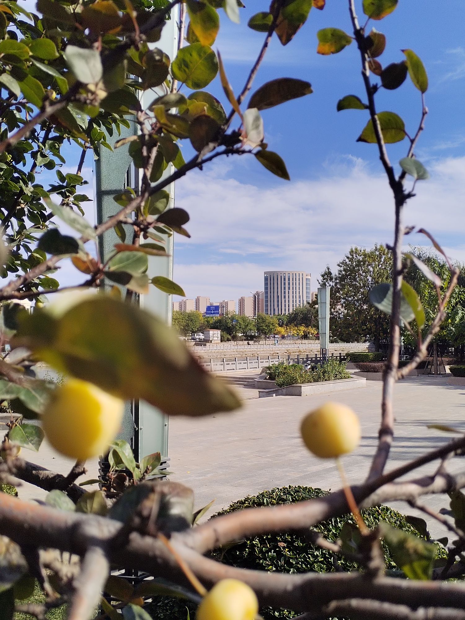 双龙滨河公园旅行图片