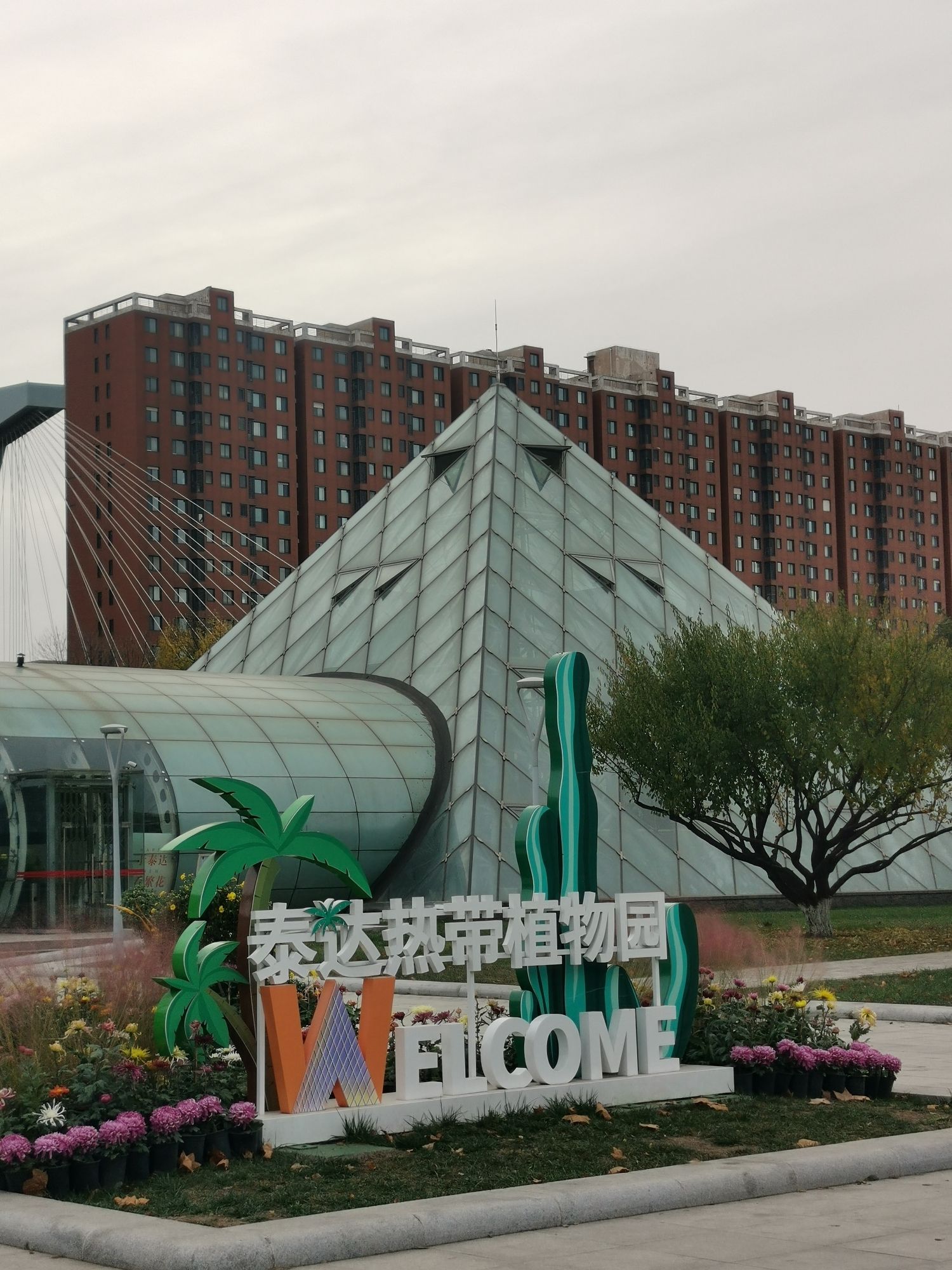 泰达热带植物园旅行图片