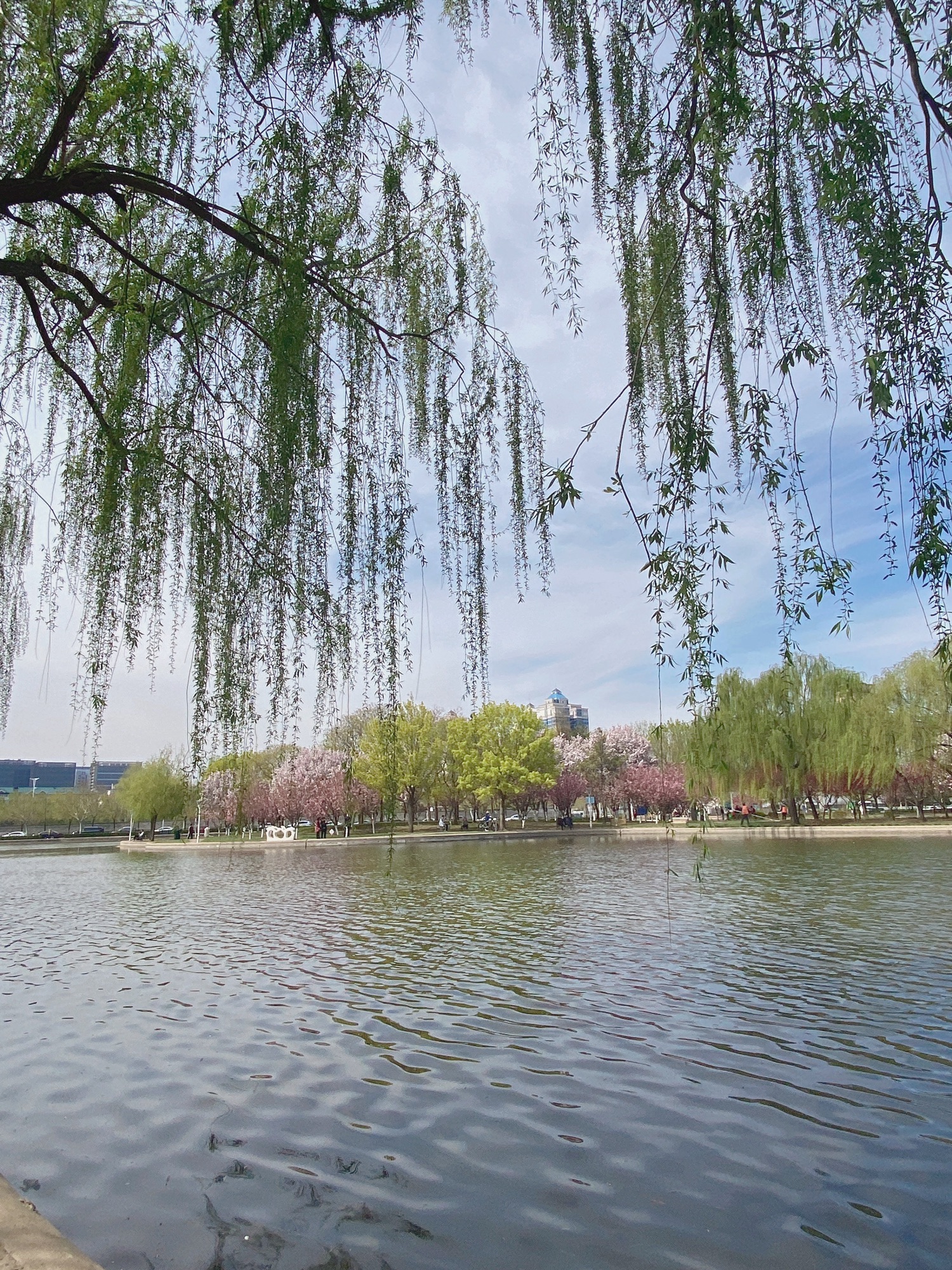 泰丰公园旅行图片