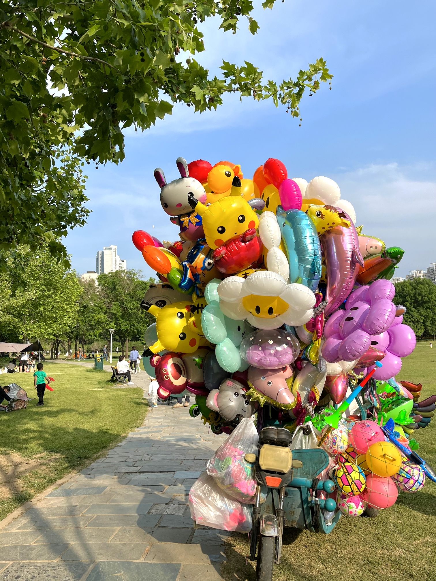 泰丰公园旅行图片