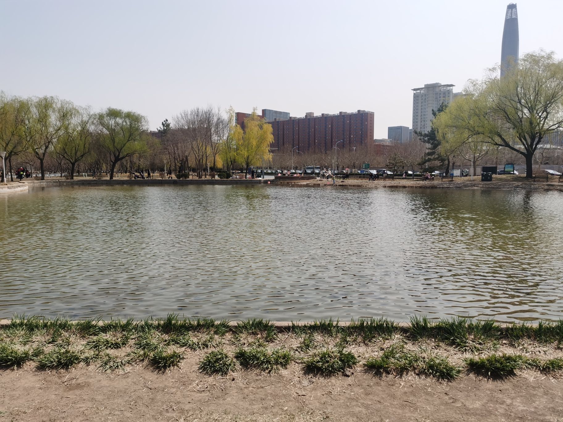 泰丰公园旅行图片