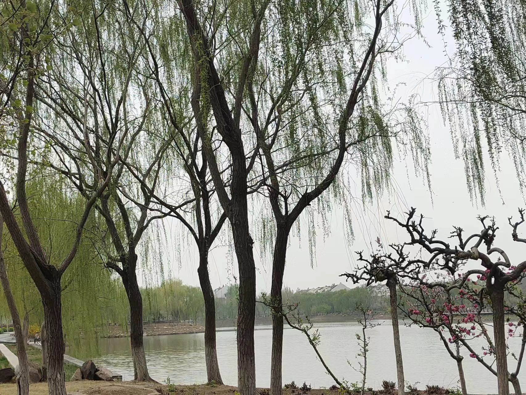 滨海公园