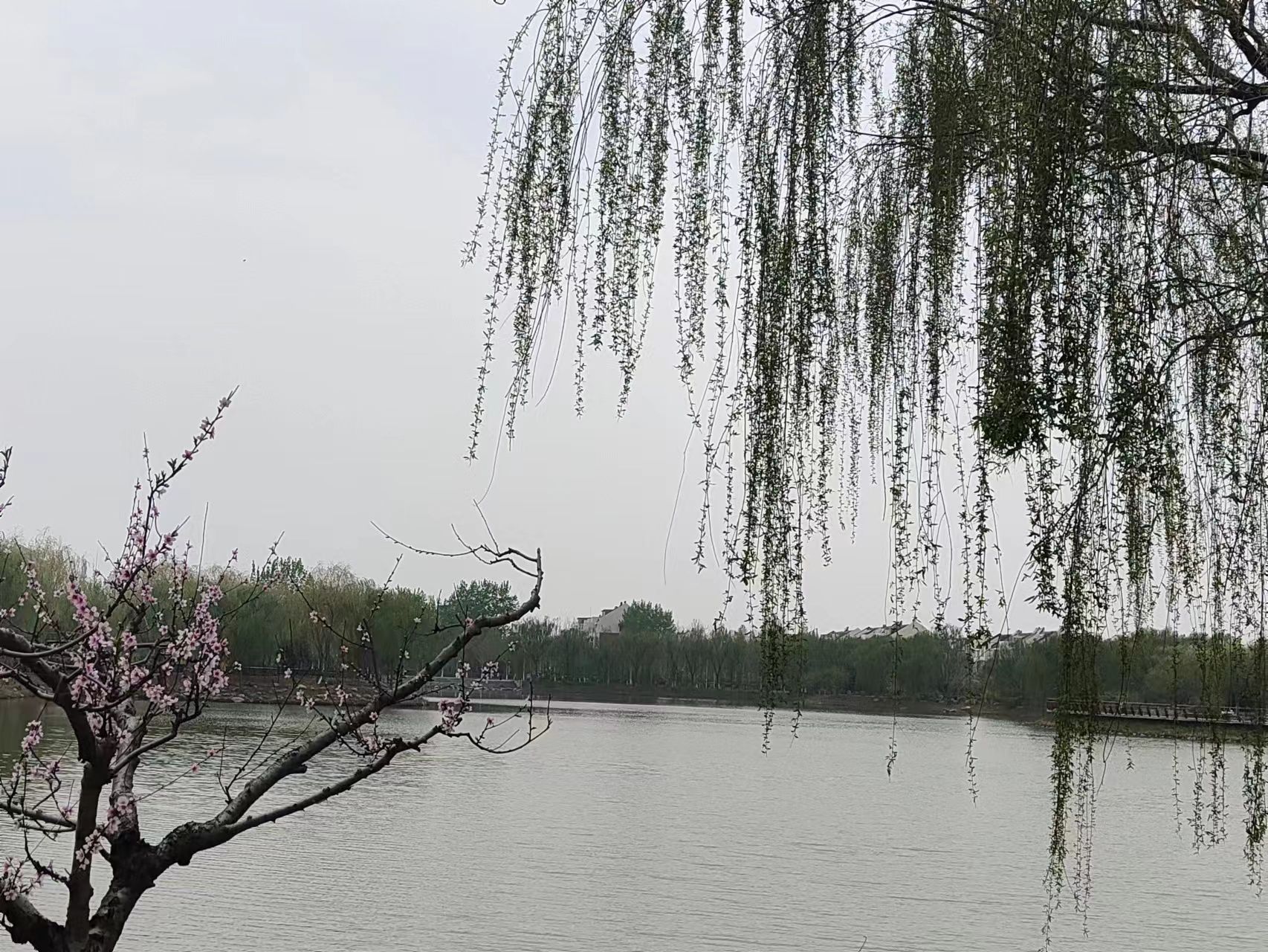 滨海公园旅行图片