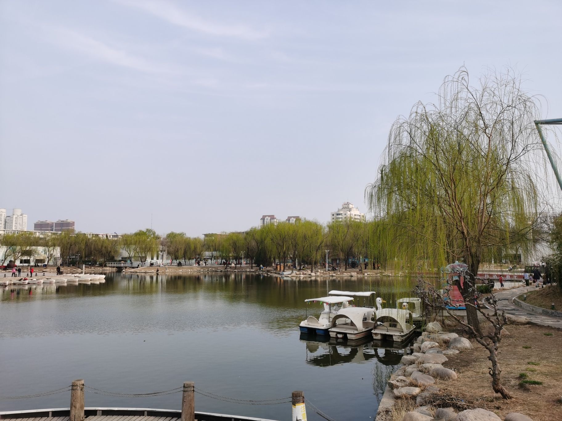 华夏未来儿童公园旅行图片