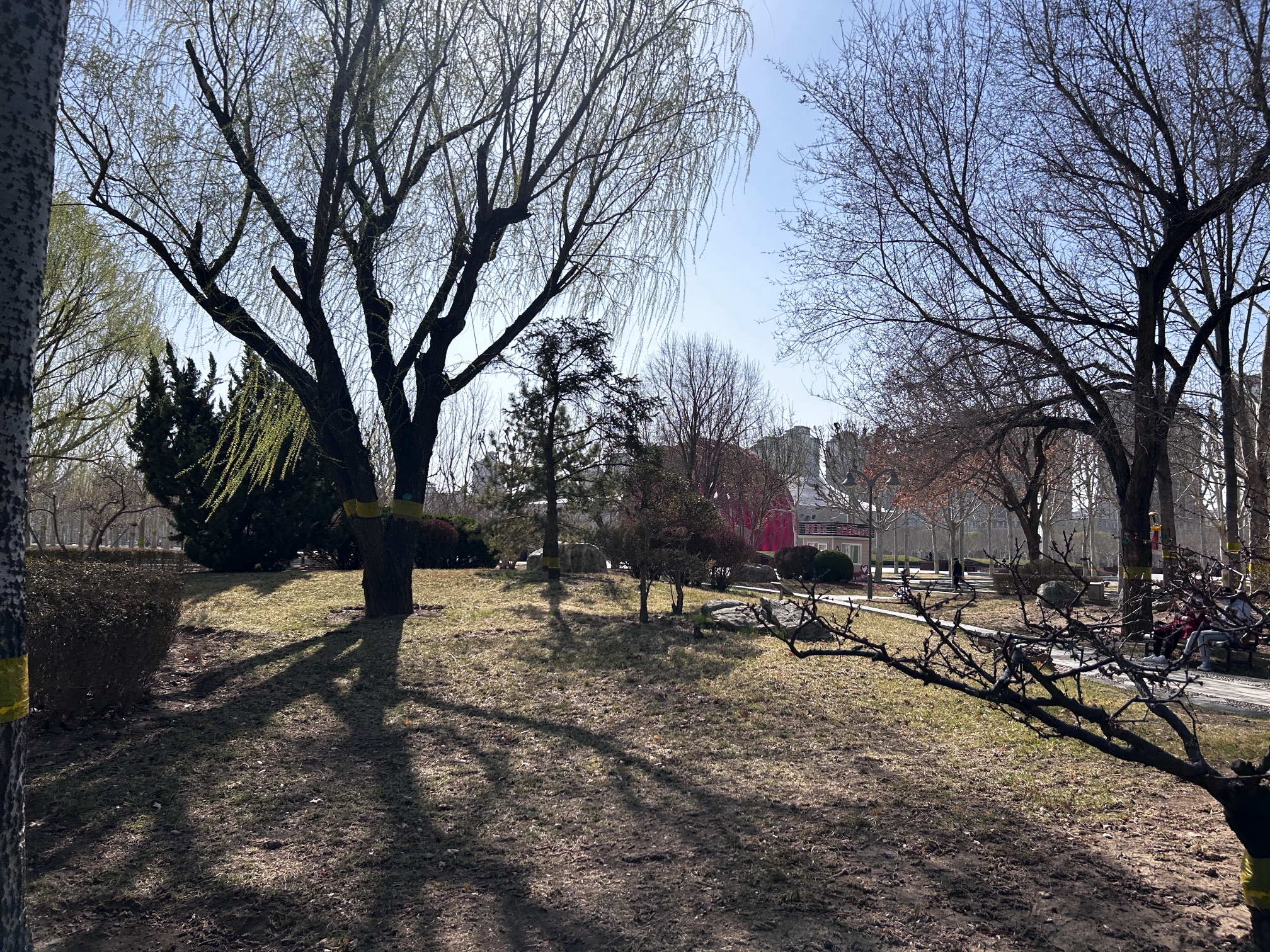 文化公园旅行图片