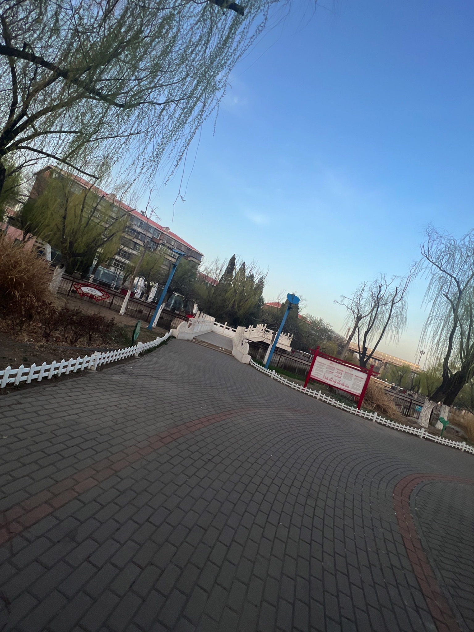 东丽公园旅行图片