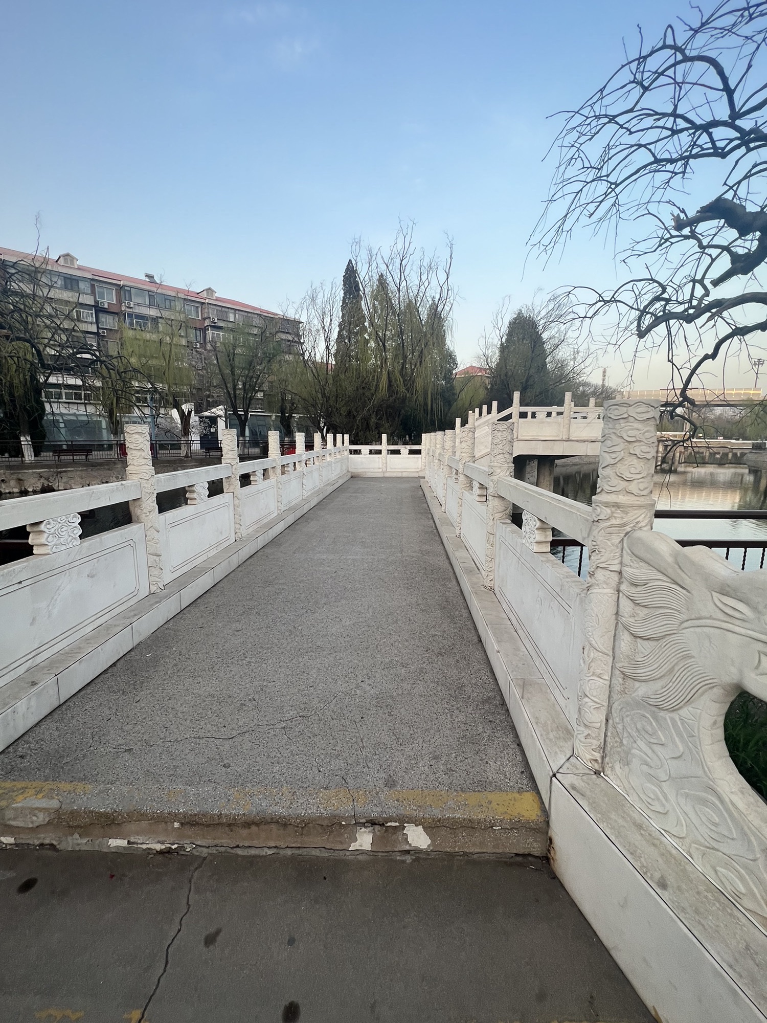 东丽公园旅行图片