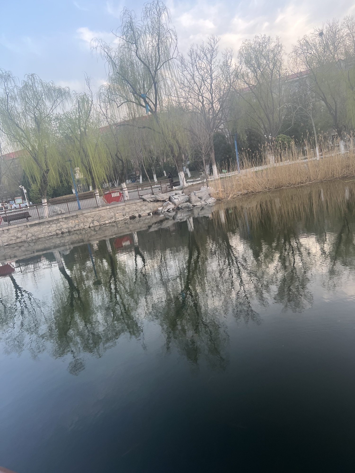 东丽公园旅行图片